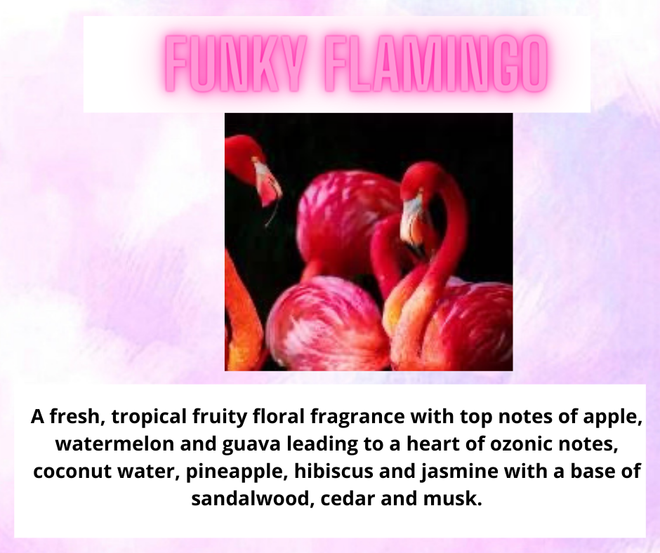 Car Freshener ~ Sweet & Fruity Scents
