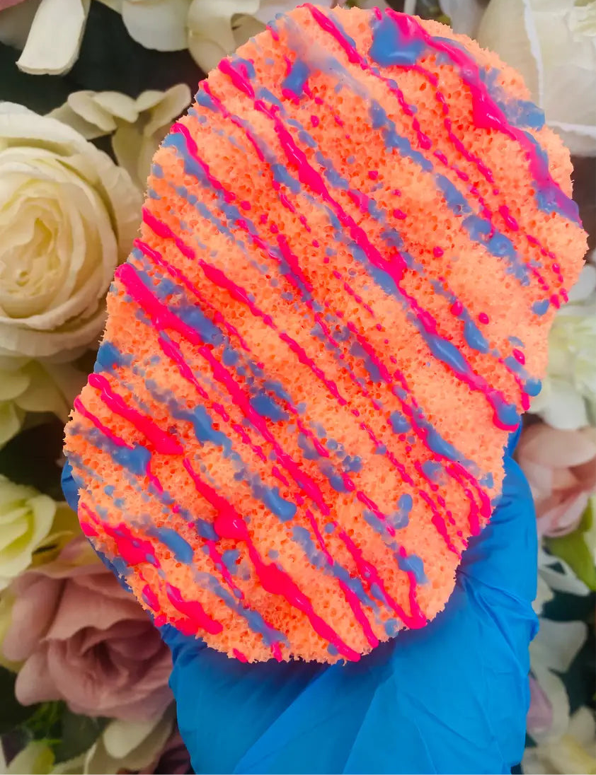 Soap Sponge ~ Sol Collection (SDJ)