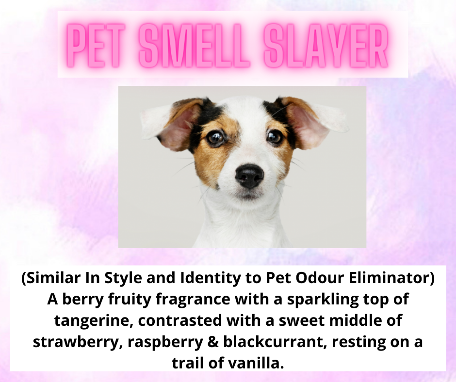 Snow Wax - Laundry & Fresh Scents