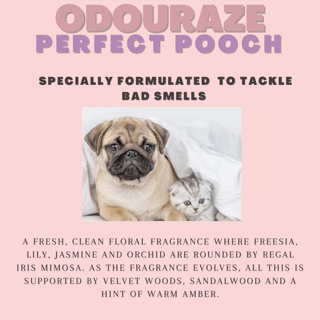 Fabric Upholstery Cleaner  ~ Odouraze Collection