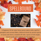 Pumpkin Shape Wax Melts (3 in pack)
