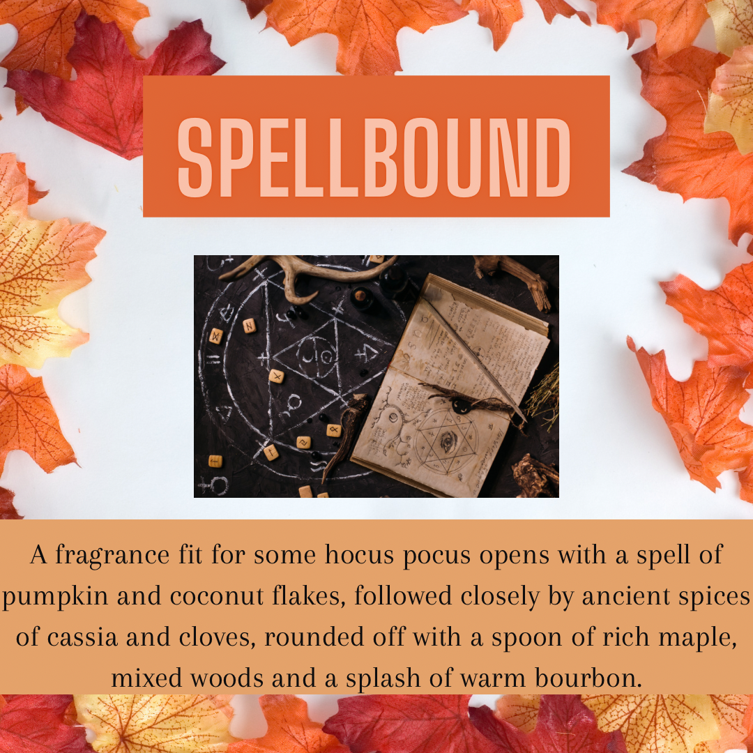 Pumpkin Shape Wax Melts (3 in pack)