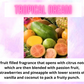 CBD Infused Foaming Bath Salts ~ Sweet & Fruity Scents