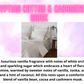 Laundry Bundle ~ Clean & Fresh Scents