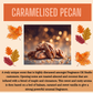 Large Triple Pumpkin Wax Melt (1 in pack)