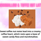 Car Freshener ~ Sweet & Fruity Scents