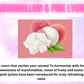 Car Freshener ~ Sweet & Fruity Scents
