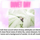 Laundry Bundle ~ Clean & Fresh Scents