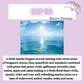 Aroma Beads ~ Wellness Collection