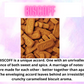 Car Freshener ~ Sweet & Fruity Scents