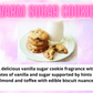 Car Freshener ~ Sweet & Fruity Scents