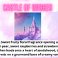 Car Freshener ~ Sweet & Fruity Scents