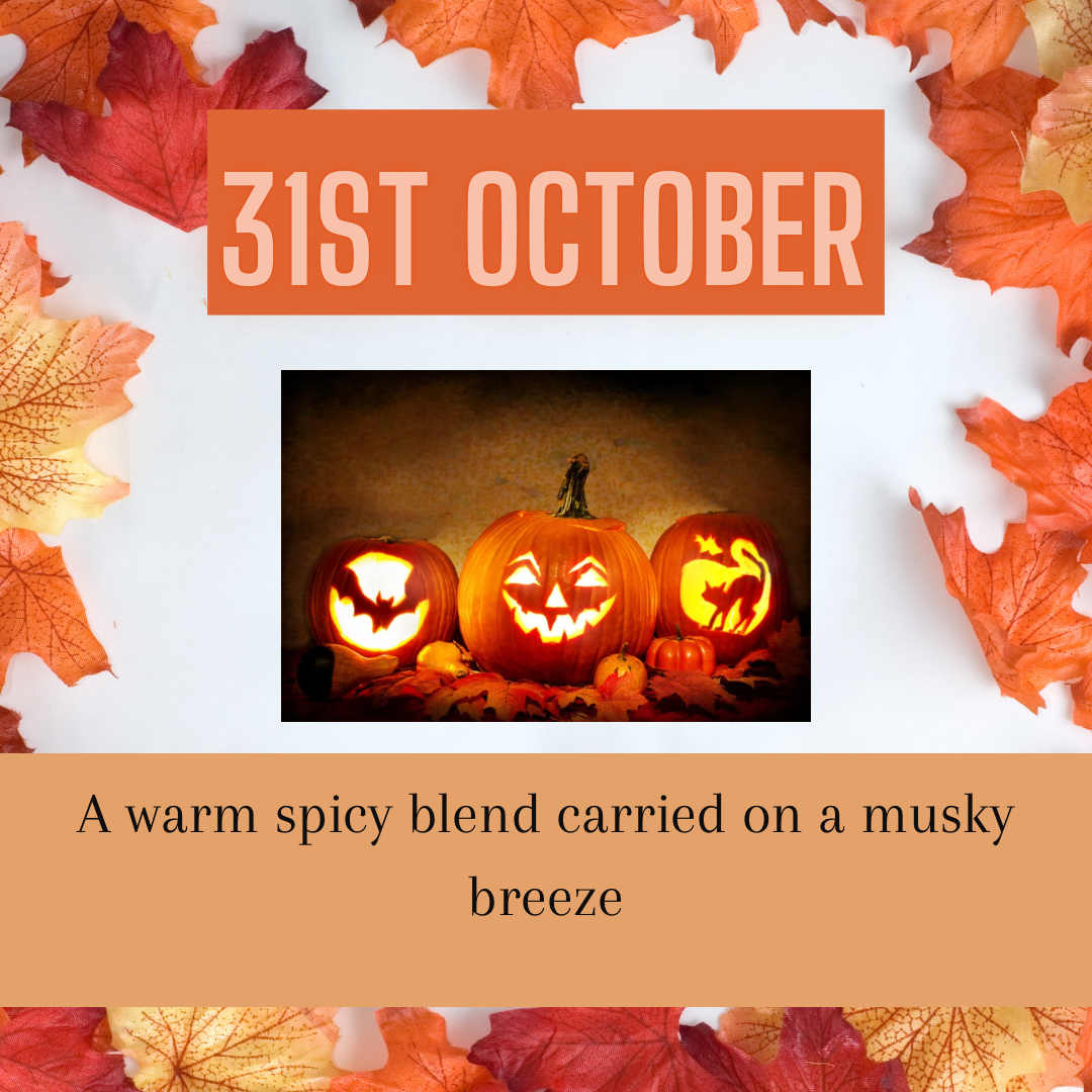 Pumpkin Shape Wax Melts (3 in pack)