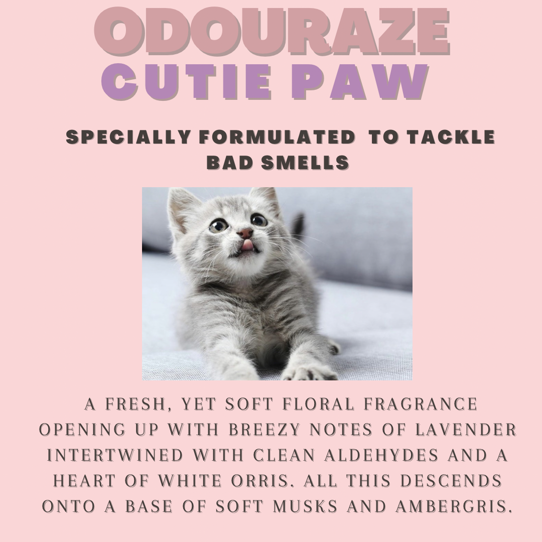 Fabric Upholstery Cleaner  ~ Odouraze Collection