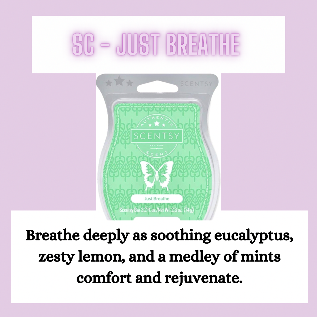 Laundry Bundle ~ Clean & Fresh Scents