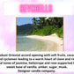 Carpet Freshener ~ Sweet & Fruity Scents