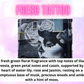 Scent Tin Refill ~ Laundry & Fresh Scents