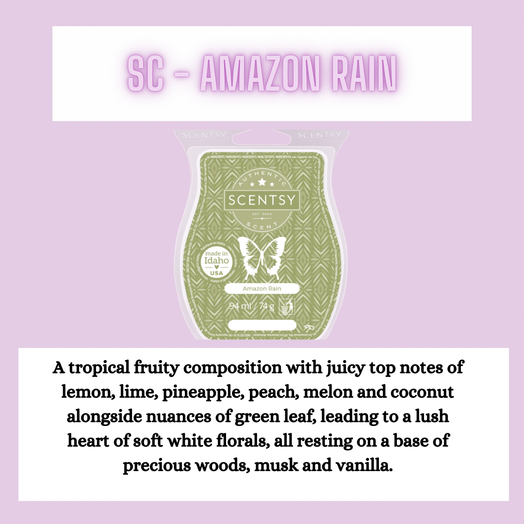 Laundry Bundle ~ Clean & Fresh Scents