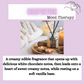 Aroma Beads ~ Wellness Collection