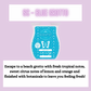 Laundry Bundle ~ Clean & Fresh Scents