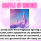 Reed Diffuser - Sweet & Fruity Scents