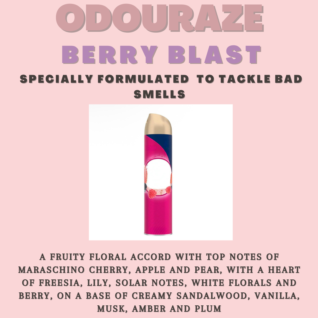 Reed Diffuser ~ Odouraze Collection