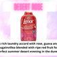 Wax - Giant Slab - Happy Birthday - Laundry & Fresh Scents