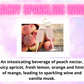 Reed Diffuser - Sweet & Fruity Scents