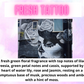 Snow Wax - Laundry & Fresh Scents