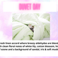 Scent Tin Refill ~ Laundry & Fresh Scents