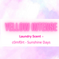 Wax - Happy Birthday Snapbar  - Laundry & Fresh Scents