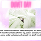 Car Vent Clip Freshener - Laundry & Fresh Scents